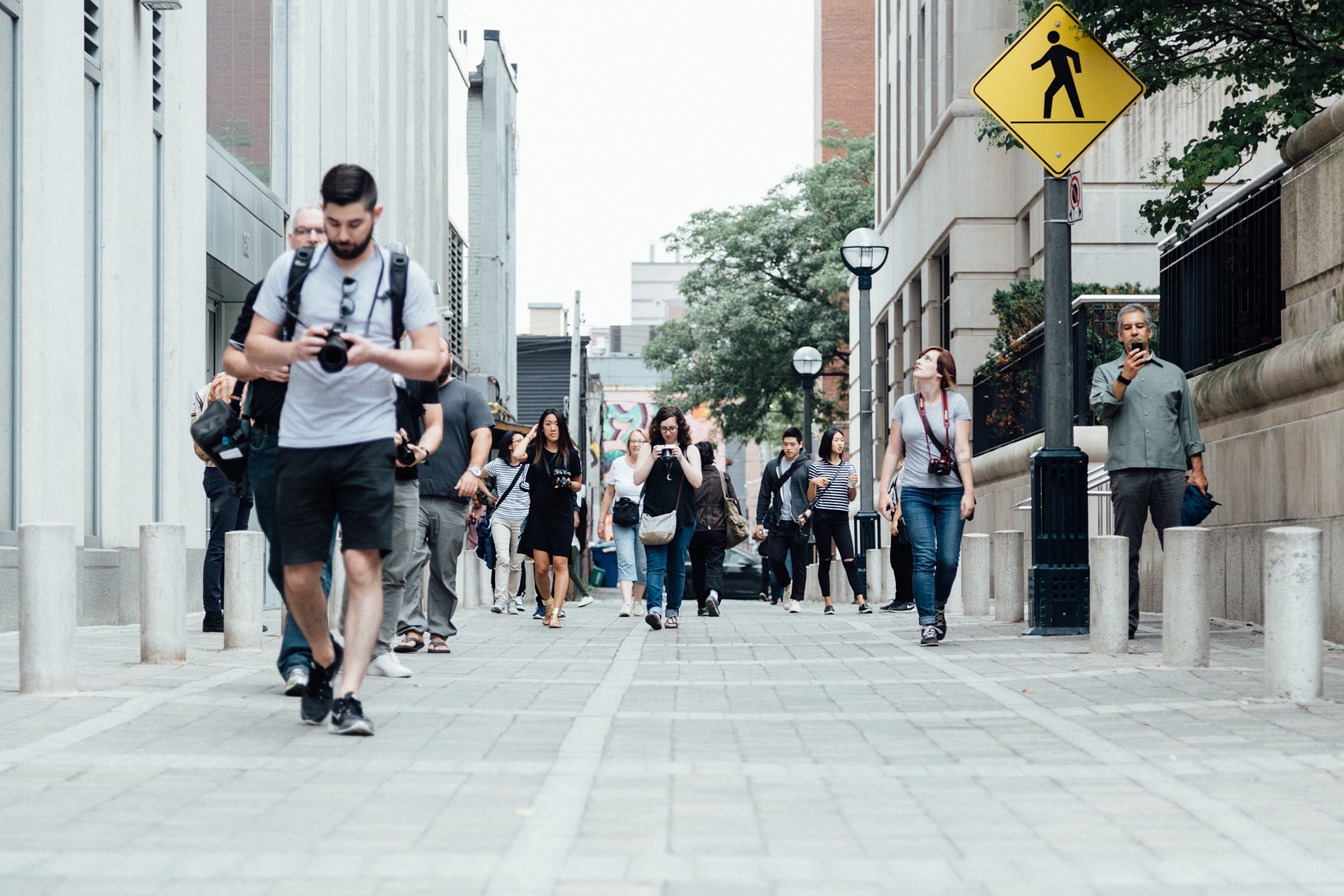 pedestrians-918471_1920